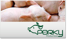 Clientes ISMA Consultores Productora Porky